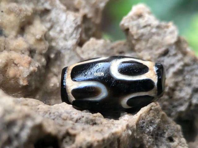 揭秘文玩圈：那些你不可不知的六大珍品与八大“坑货”