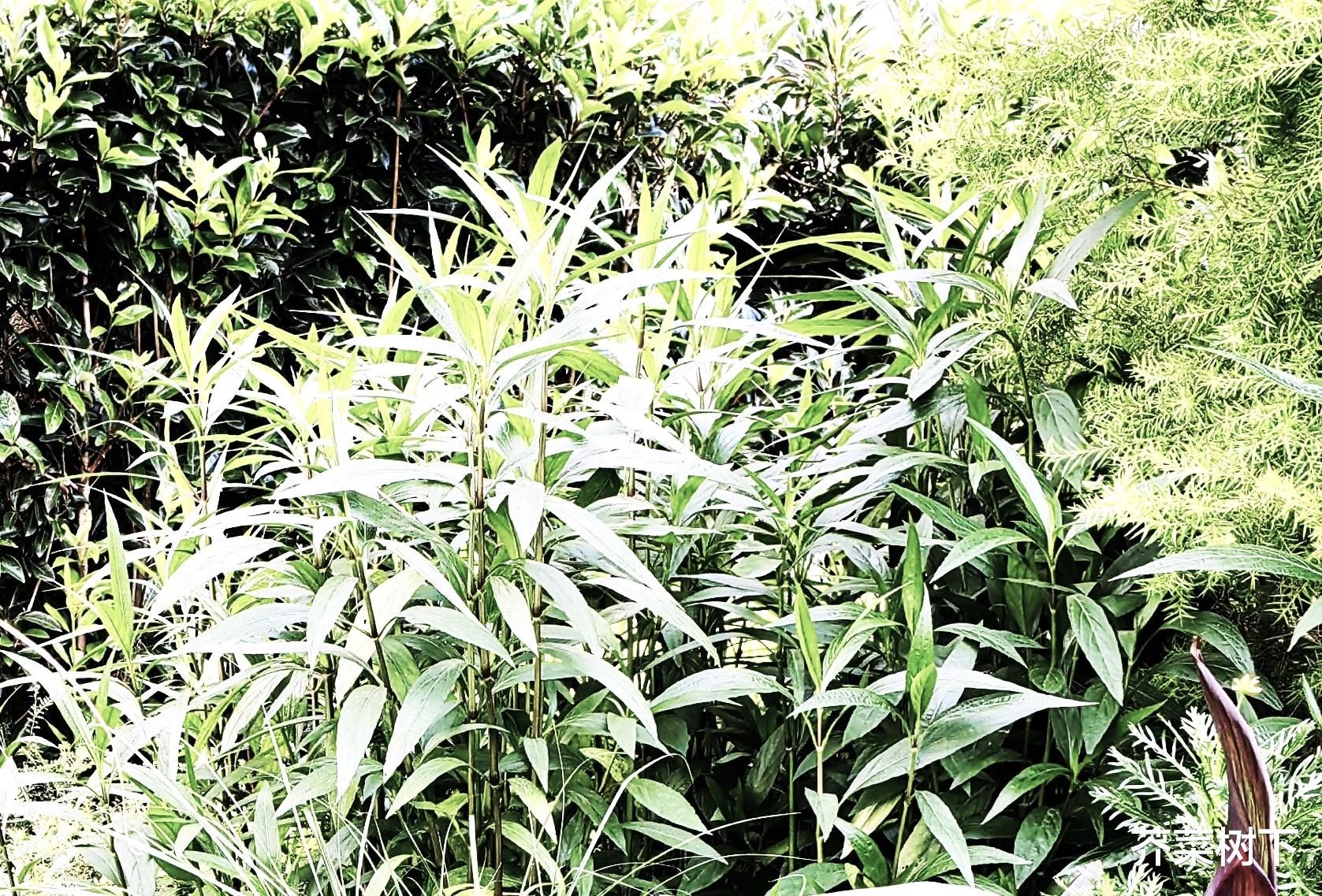 解决工作矛盾,稍微多点耐心