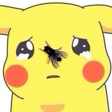 老二谈谈吧