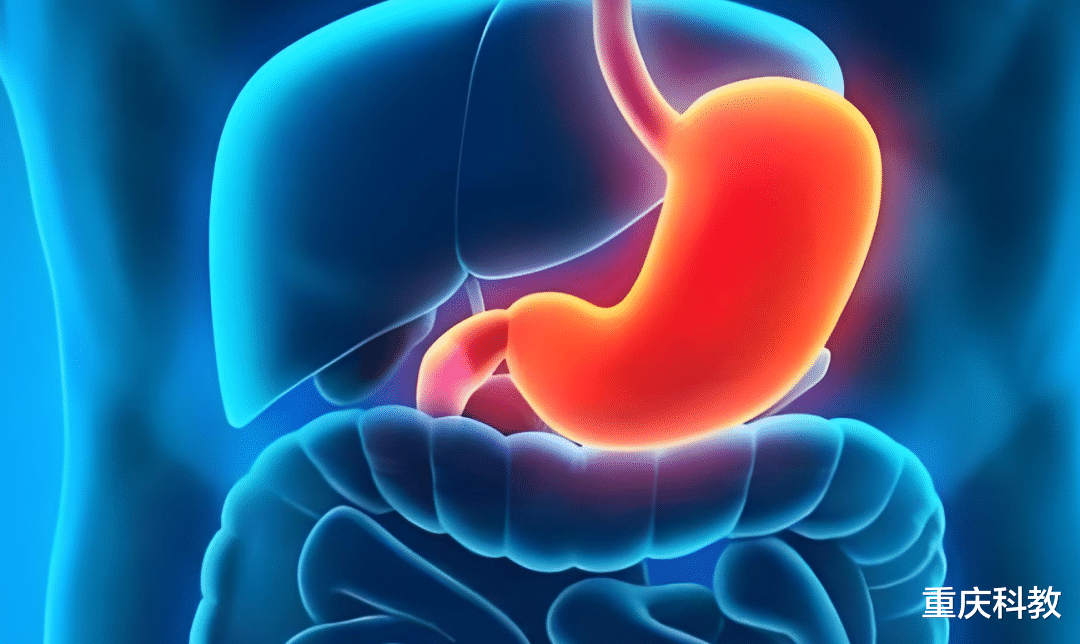 胃“喜欢”的7种水果，日常可多吃，修复胃黏膜，养胃又护胃