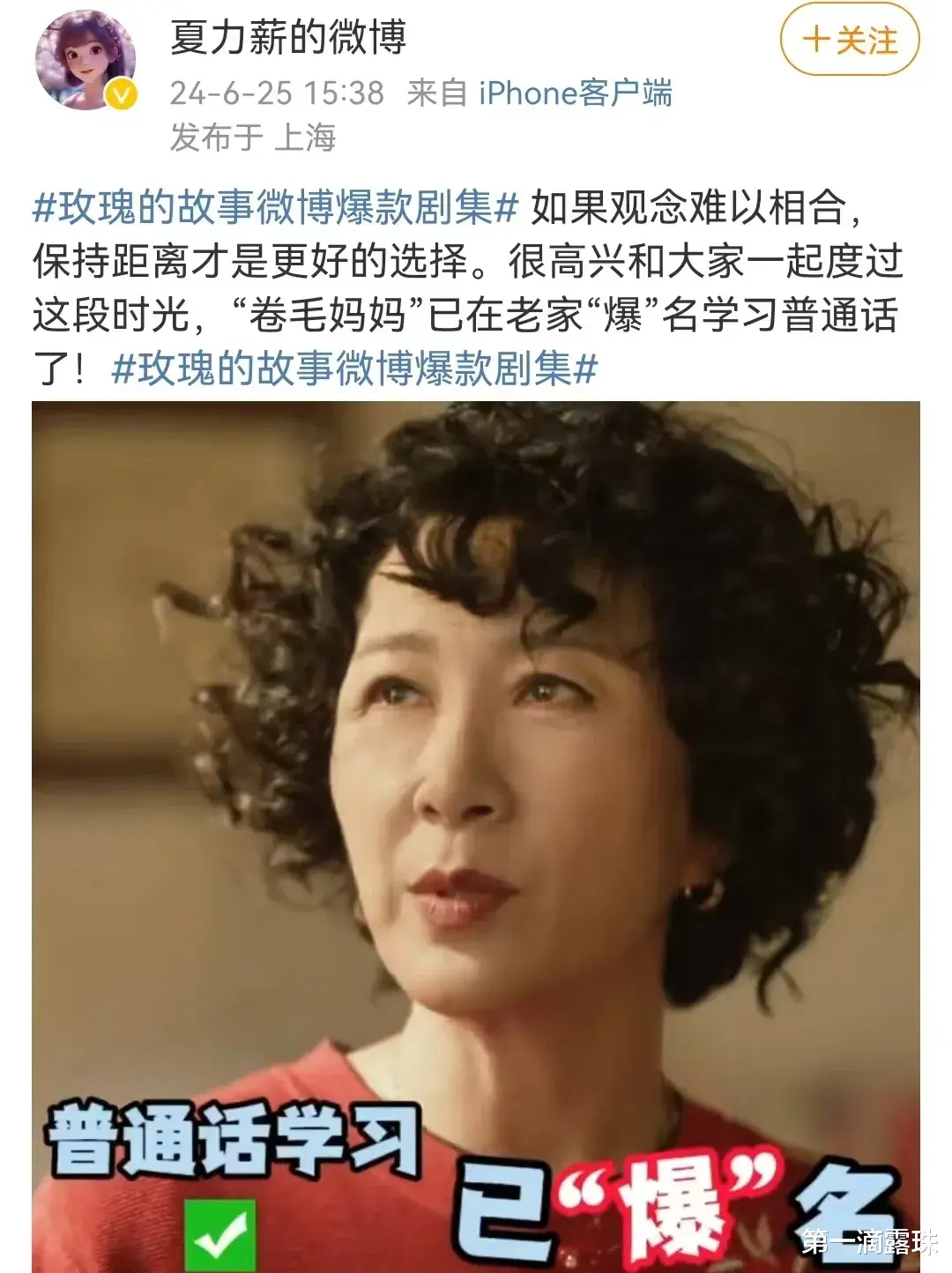 众星发文告别《玫瑰的故事》：刘亦菲感谢了所有人，万茜身穿编织袋