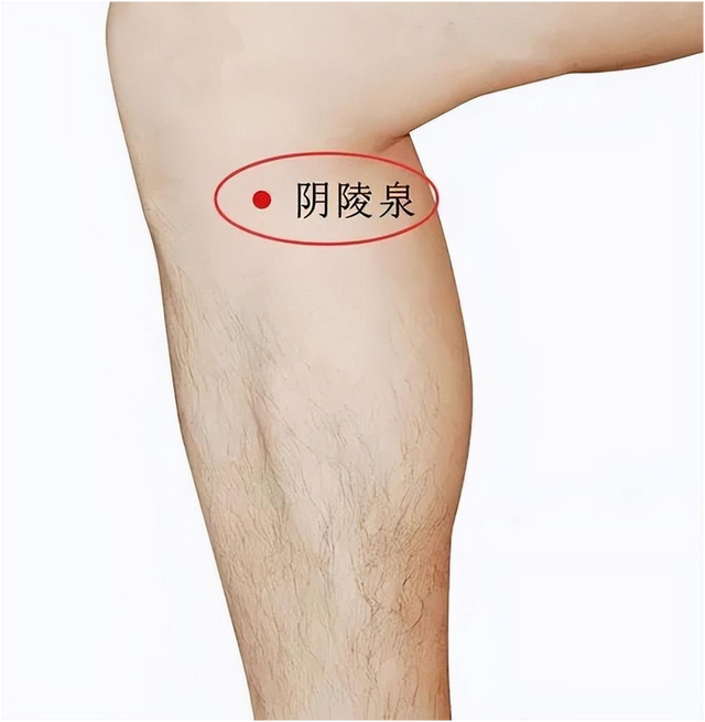 抓住三伏天，赶走一身寒湿瘀堵，教你一招，清寒湿，通瘀堵!