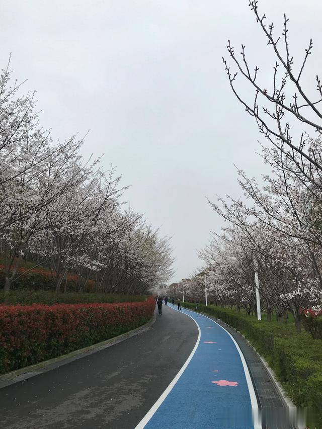 退休生活记录26 减肥靠毅力 体重靠自律 实在馋甜食了 也有解决的办法