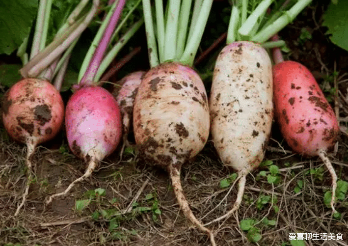 明日小暑，老传统要吃“暑期三宝”，助您轻松入伏，全家顺利度夏！