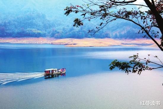 通透的人生: 踏实干、会思考、顺人性