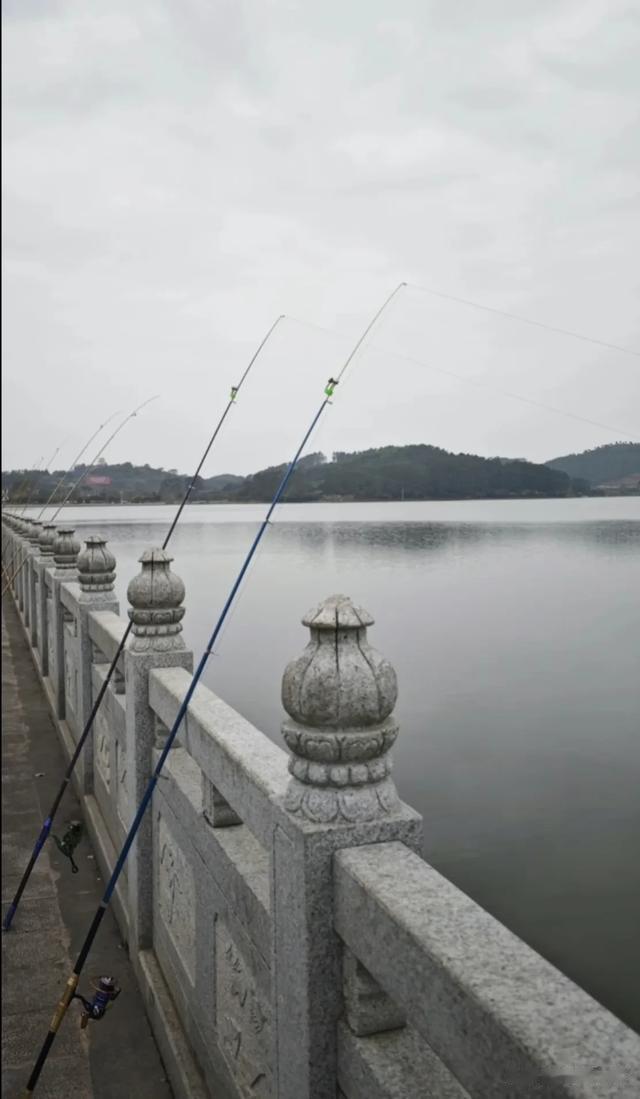 钓鱼人在那一坐几个小时不会无聊吗?空军 打窝王别进,评论笑死了