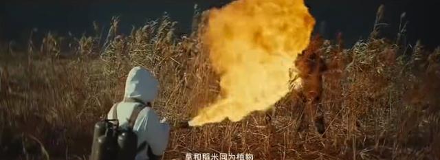 太真实了!电影731定档惨遭百万举报要求下架,网友:必须严查