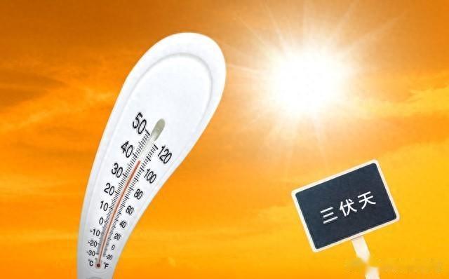 2024年三伏不一般,7月15日入伏,“5个”特点与以往不同,早了解