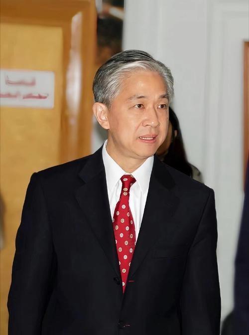 汪文斌柬埔寨被偶遇,入乡随俗穿本地服饰,脚上的人字拖太亮眼