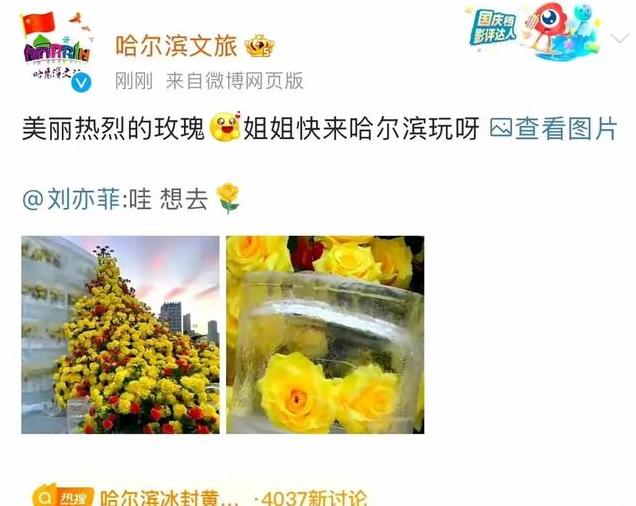 刘亦菲打卡哈尔滨冰封玫瑰,穿貂皮外套和光腿神器,又美出新高度