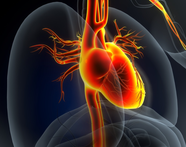 跑一跑就知道心脏血管堵没堵？医生支招：3个测试方法更准确