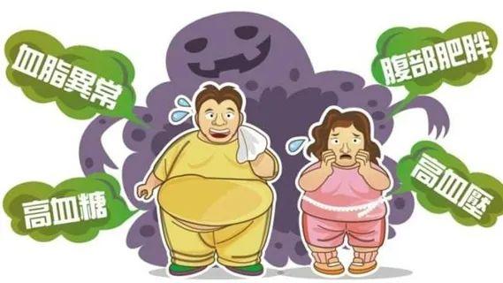 肥胖是会呼吸的痛