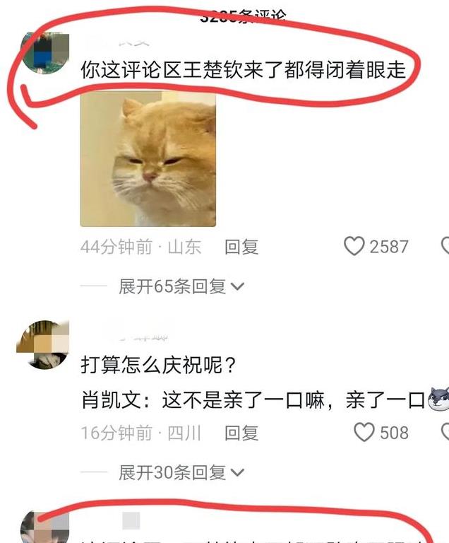 肖凯文发文庆祝王楚钦夺冠，评论区笑不活了，这样大头怎么留言