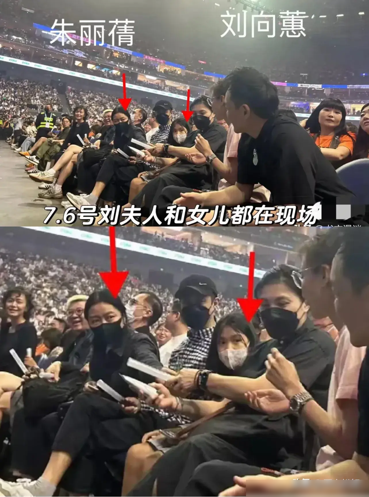 向太晒出和刘德华老婆朱丽倩的聊天记录，朱丽倩对华仔的称呼真甜