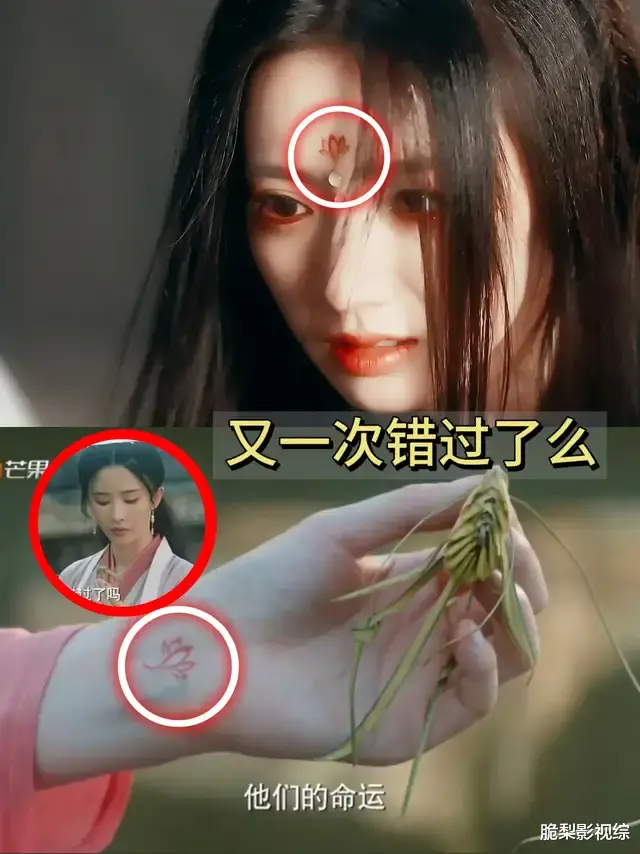 《与凤行》同样是上古神君，为何清夜生生世世与爱人错过，行止却能与子同归