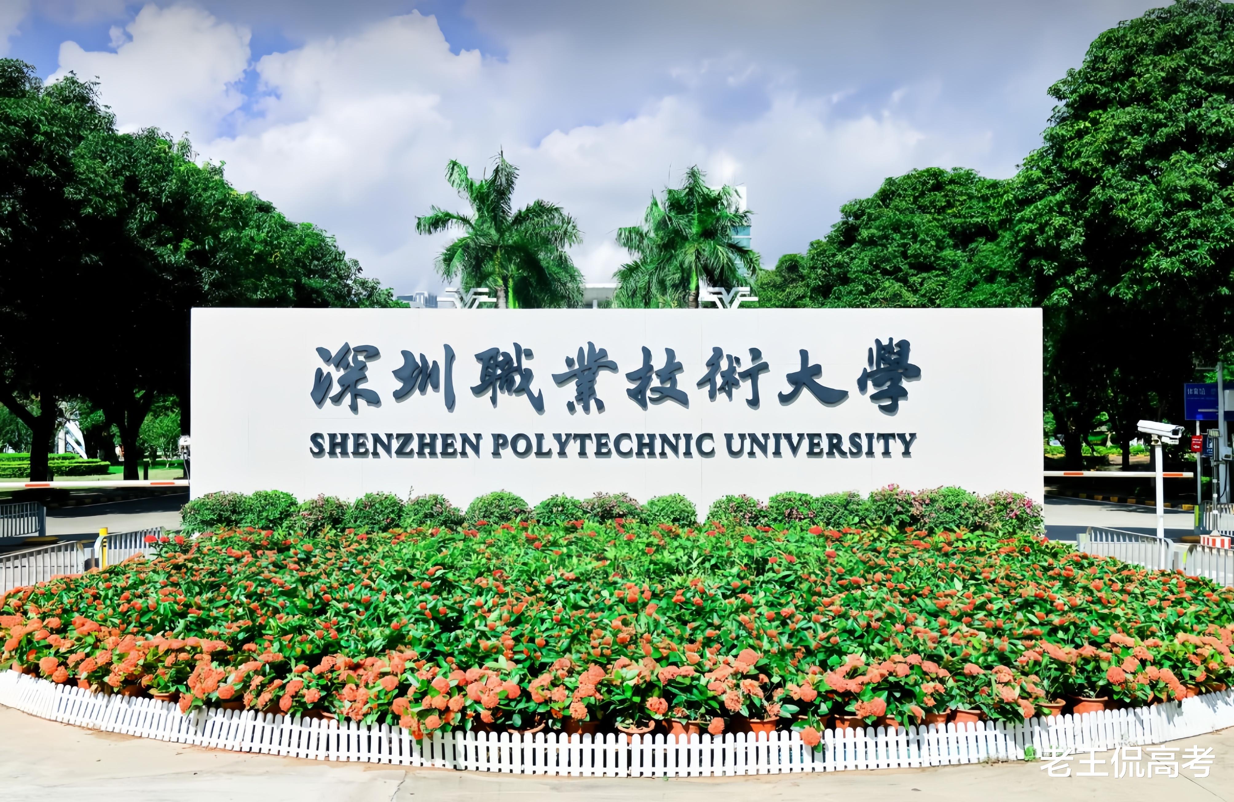 全国33所职业大学排名,深圳职业技术大学第1,第3有争论