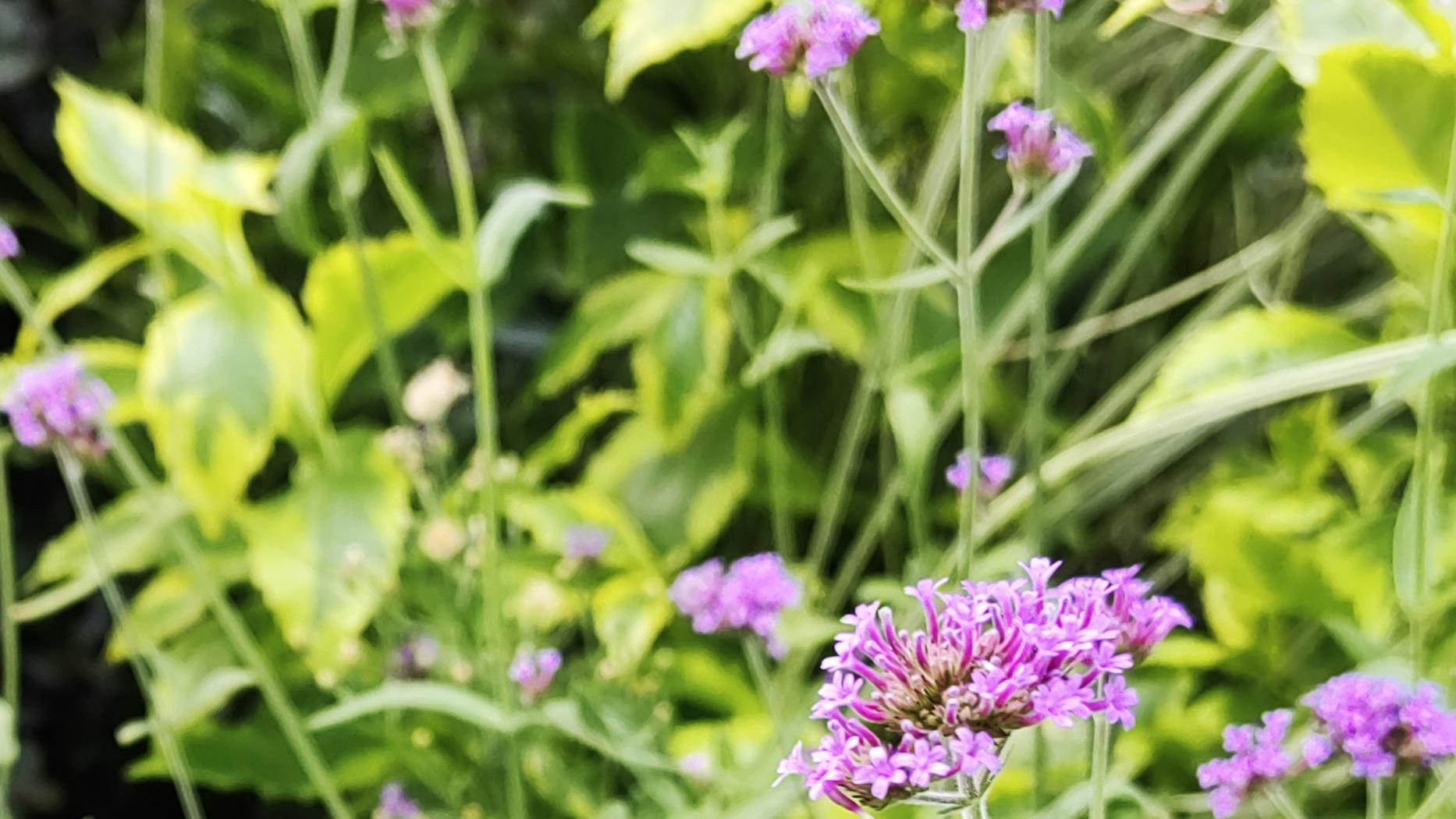 职场好沟通：你想理解，我理解