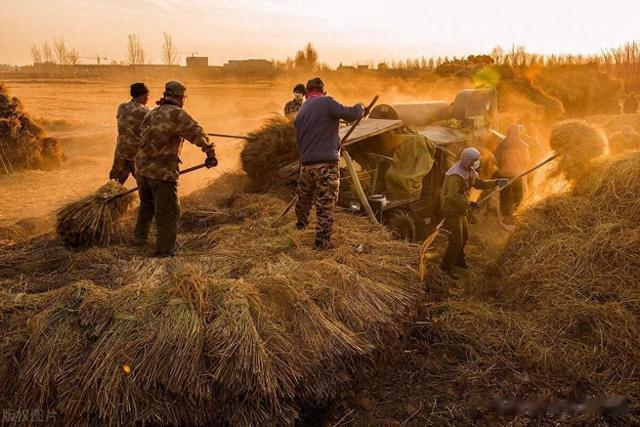十大名优绿茶排名,你喝的绿茶上榜了吗?