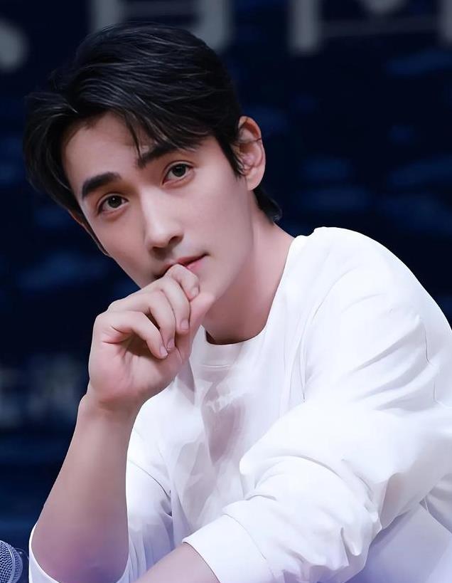 内娱最具商业价值男星,胡歌登顶,任嘉伦7成毅5王一博第3肖战第2