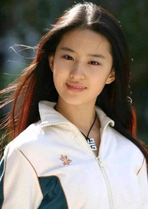 刘亦菲现象:明星带货力背后的深度剖析