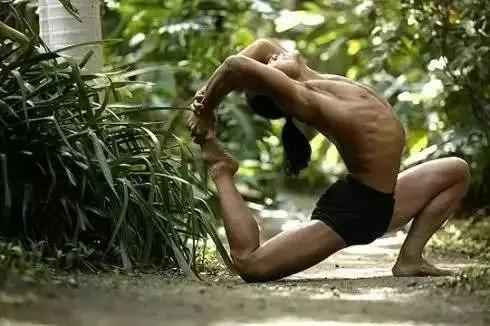 百变瑜伽鸽子式大全，能做5种以上绝对是高手？