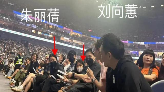 刘德华女儿首次公开露面，同妈妈看爸爸演出，高鼻梁大眼睛很漂亮