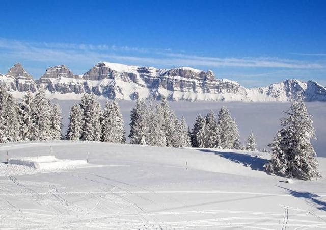阴寒之体用附子 虚寒之体用肉桂！用对了 阳气走窜 驱散全身寒邪！