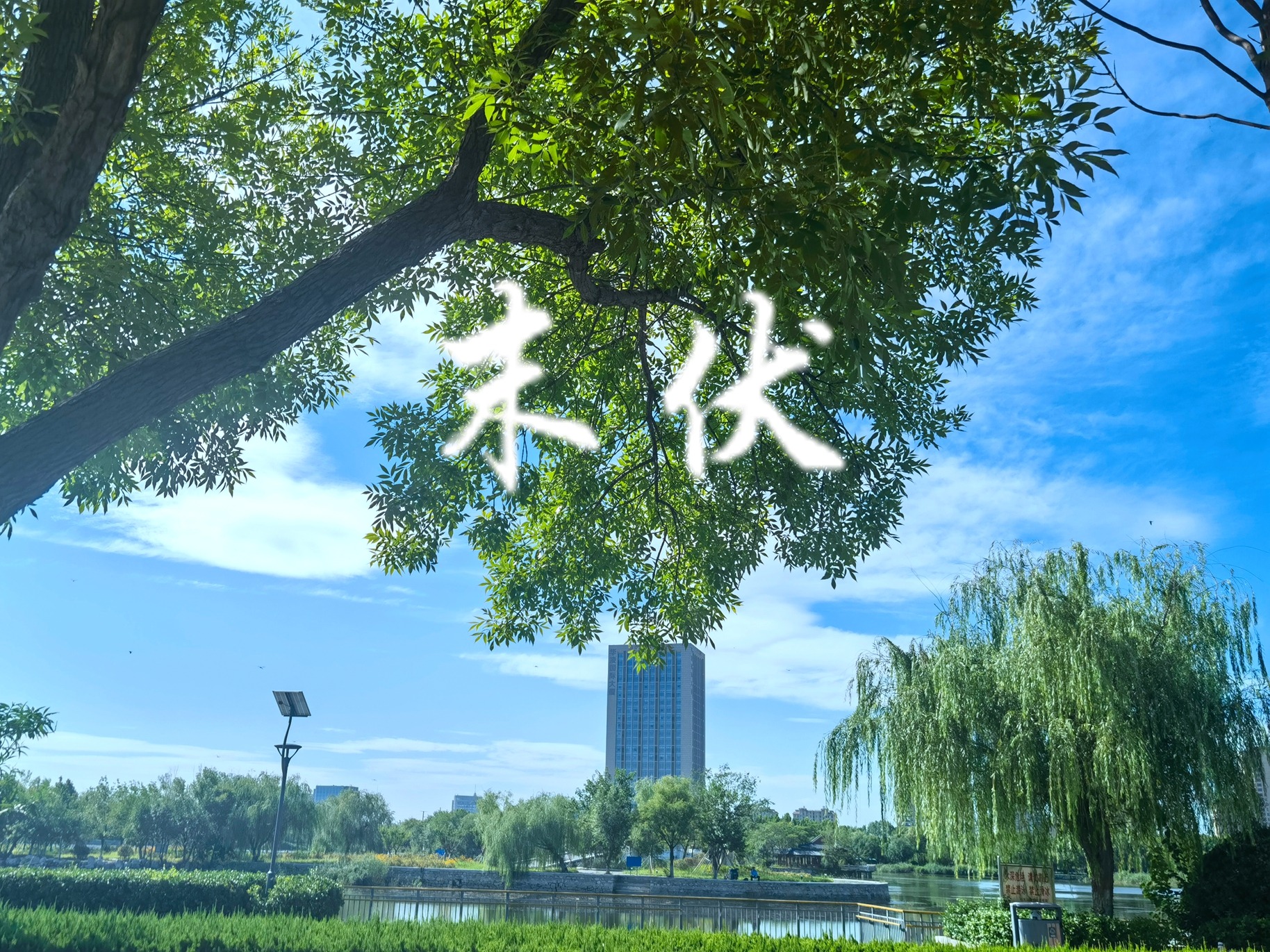 8月14日末伏，再忙也要记得“吃2样，做1事”安康度末伏，老传统别丢！