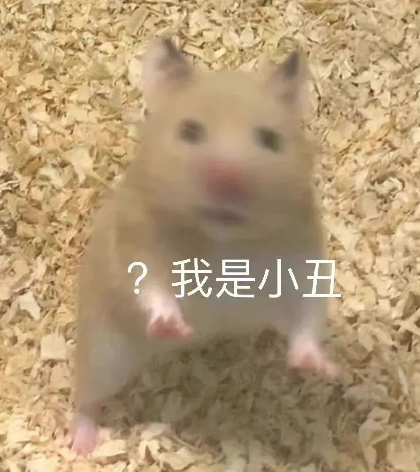 47岁舒淇毁容式近照曝光!满头白发,是婚后8年不幸福吗?