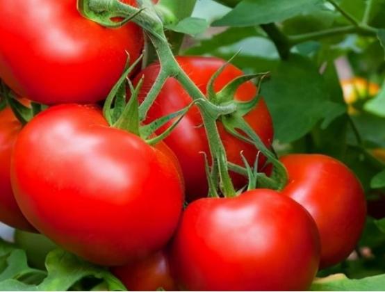 60岁以后不能吃番茄？医生忠告:若想活到90岁，这3种蔬菜更要少吃