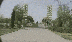 窦靖童要把王菲愁死了！剪莫西干发型秒变三毛，穿红绿撞色衣出行