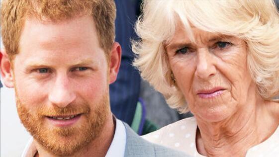 打败两任太子妃，卡米拉实力不容小觑，难怪哈里都不敢轻易挑战她