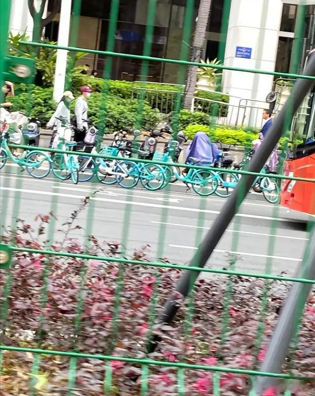 和李晨分手5年后,她热恋、结婚、事业翻红,这才是真正嫁给爱情!