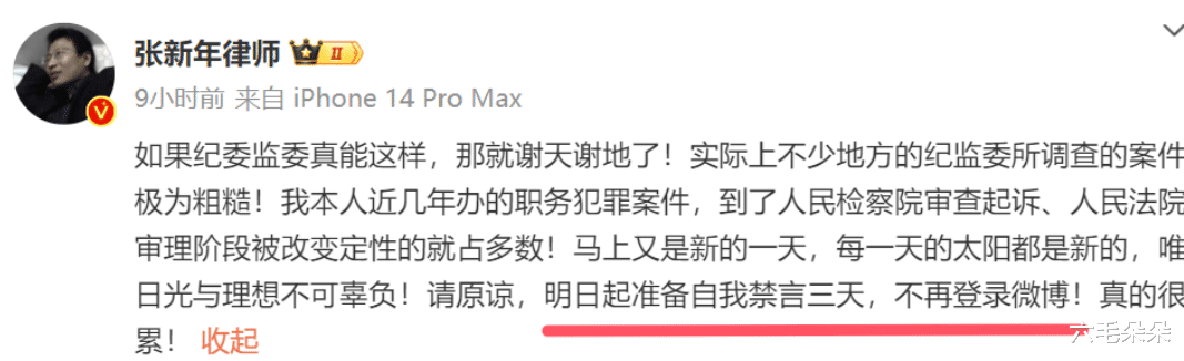 央视记者打脸朱小龙专业度！董倩提问有水平，全红婵也可以不疯癫