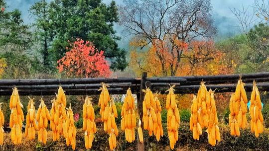 “十八遇北风，遍地起坟头”，二月十八啥日子？为啥不能刮北风？