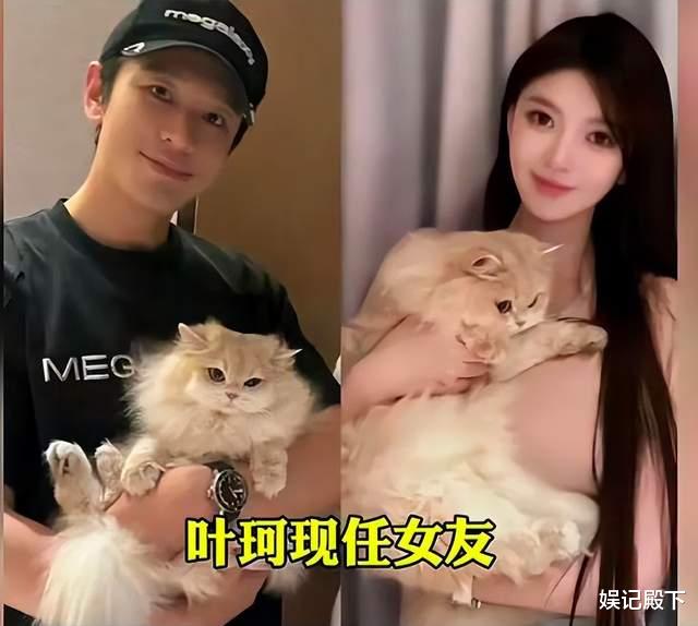 名媛班上钩男星高达多人，影帝天王皆在其中，这些男星为何爱假脸