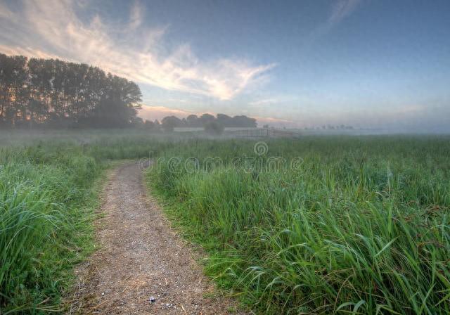 钓鱼的首要原则，在有鱼的地方钓鱼，钓鱼的第二条原则