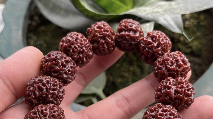 现在都这个局面了金刚菩提仍然坚持不了一年？手串都不行！