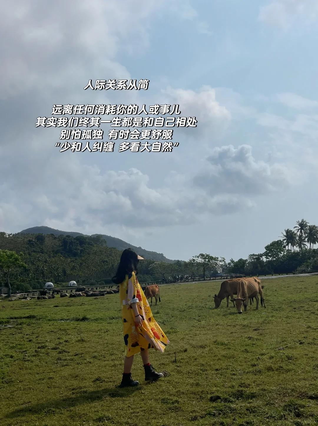 39岁单身女孩,靠“极简生活”走红网络,网友:这才是人间清醒