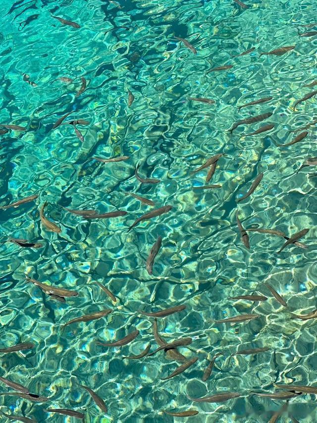 巨蟹座； 最不顺的3个年龄段，职场低谷，钱财难留，压力巨大