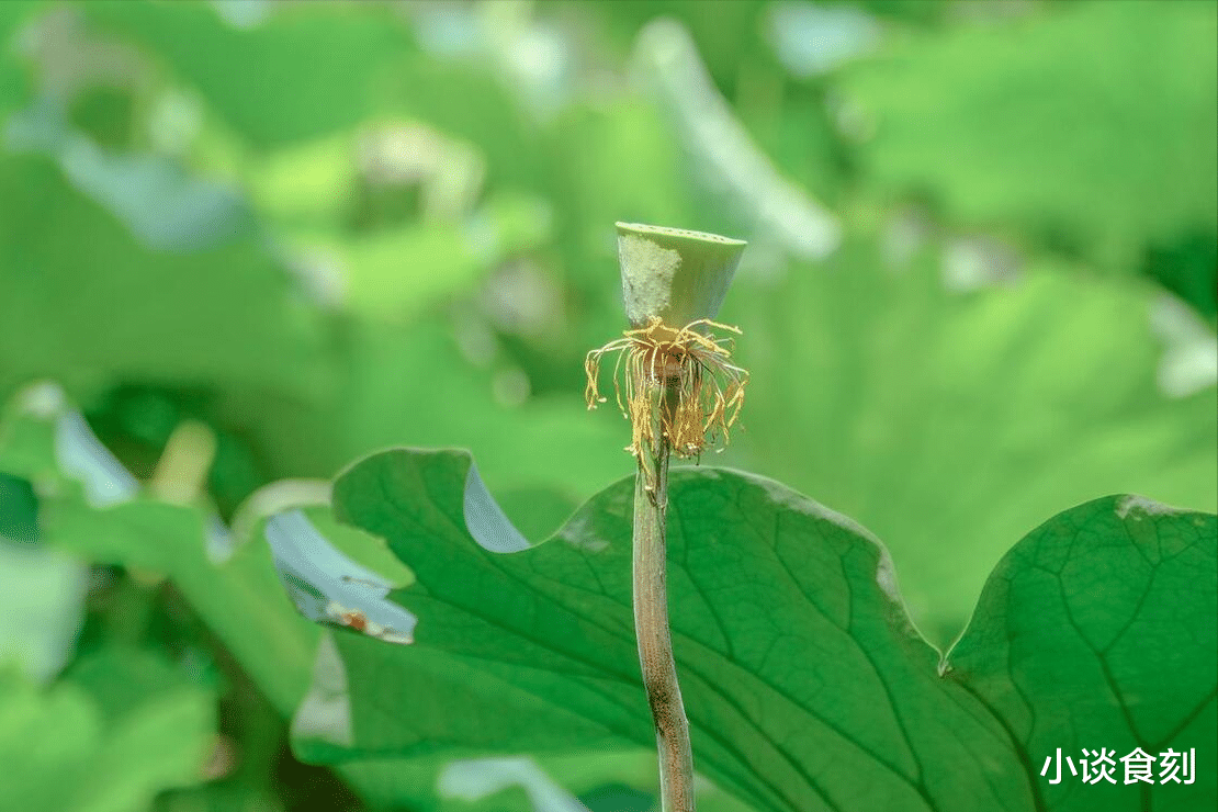 “明日三不做，不富也添喜”，明日六月初十，火克庚金，有啥讲究？