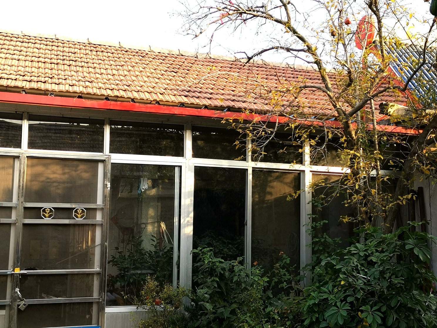 明日二月二龙抬头，再忙也要记得“吃4样、做2事、忌1事”，五谷丰登寓意好！