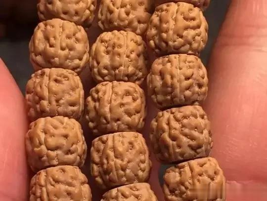 金刚菩提，老手和新手的区别到底在哪？
