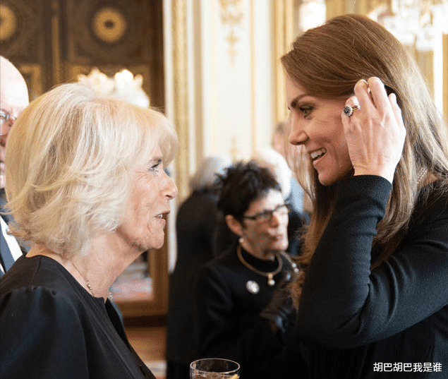 打败两任太子妃,卡米拉实力不容小觑,难怪哈里都不敢轻易挑战她