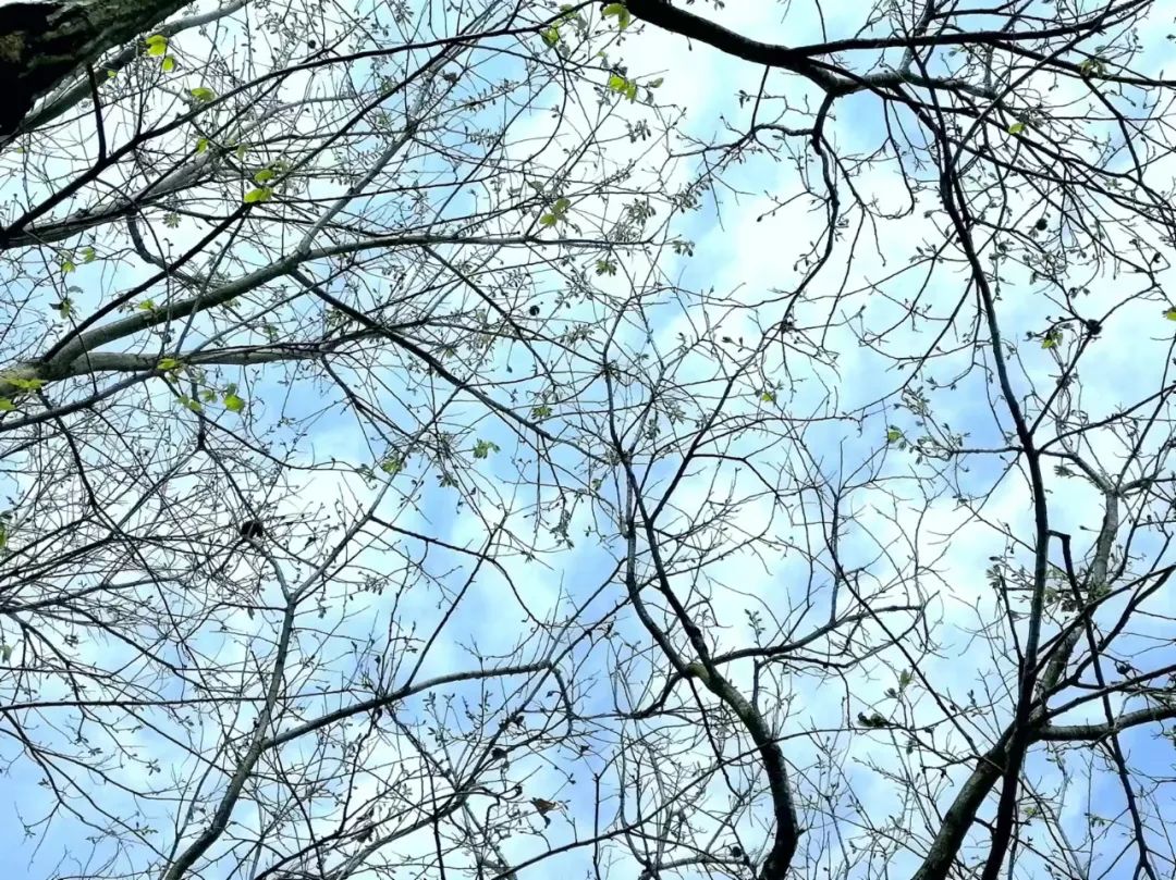 湖北小县城生活实录:我撩了三个月的美女,竟然是我表妹