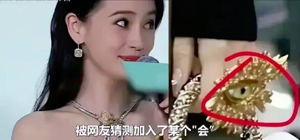 章泽天盛装出席校友会,胸针却引发猜疑,她比刘强东还要“精明”