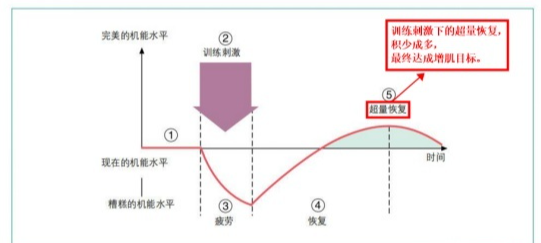 2024年最荒唐的自律——熬夜健身!