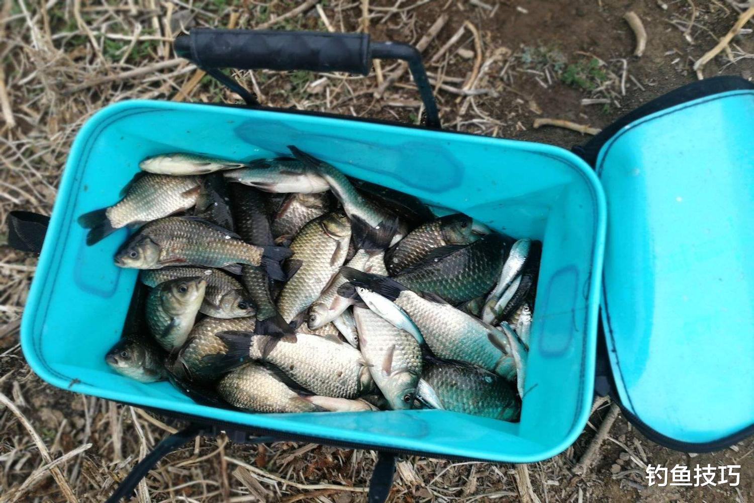 初春钓鲫鱼开拉饵的4个小窍门,钓的鱼更多