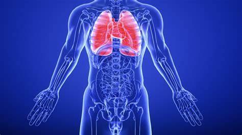 40岁前多锻炼,50岁后少锻炼,60岁后不锻炼,有道理吗?