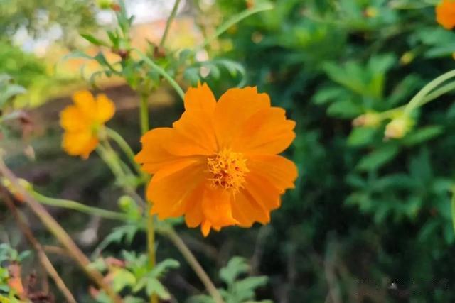 人到中年，最好的状态是什么？